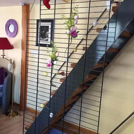 Le 70 A Turckheim, 10 Min Colmar 別荘 テュルクアイム